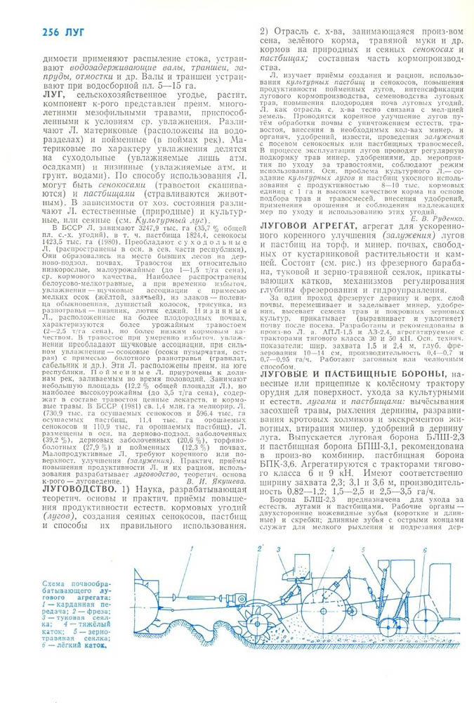 258